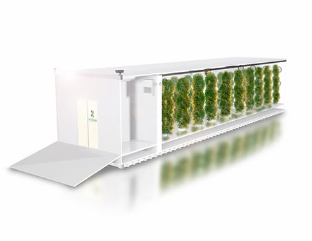 Aero Pods - Foods- vegitation-1.jpg